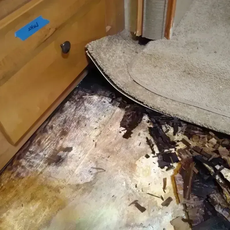 Wood Floor Water Damage in Sheridan County, KS